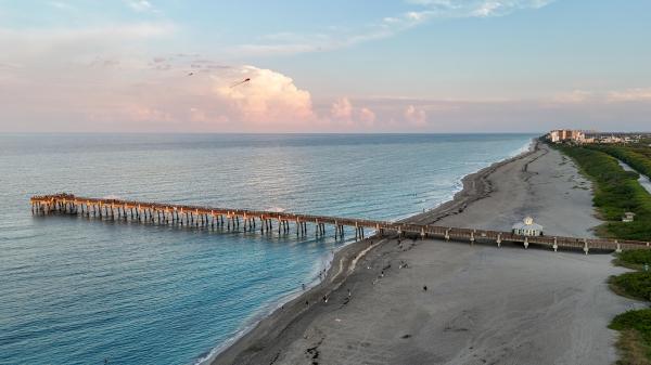 Cinnamon, 5137 Thyme Dr, Palm Beach Gardens, Florida 33418, image 1