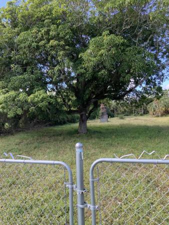 Haverhill Residential, 1099 N Haverhill Rd, Haverhill, Florida 33417, image 2