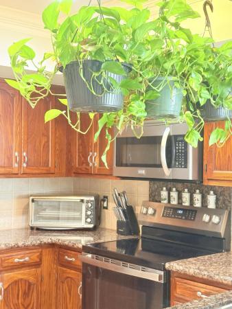 Villas Of Thurston, 38 E Balfour Rd, Palm Beach Gardens, Florida 33418, image 3