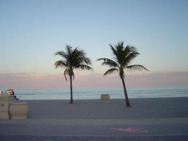 Costa Hollywood, 777 N Ocean Dr #N206, Hollywood, Florida 33019, image 3