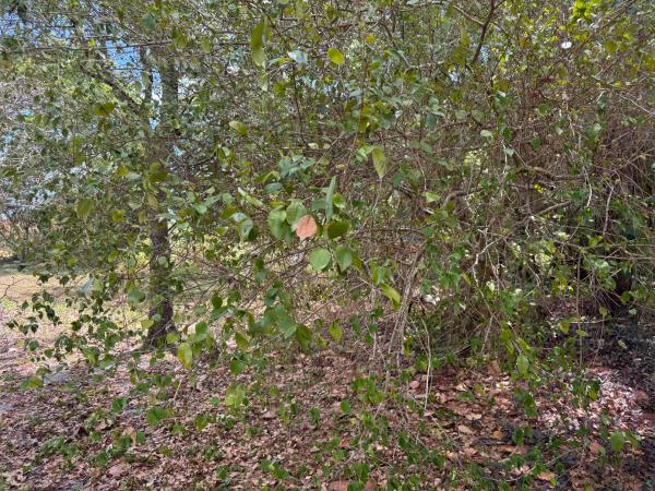 3358 S Jog Rd, Greenacres, Florida 33467, image 3