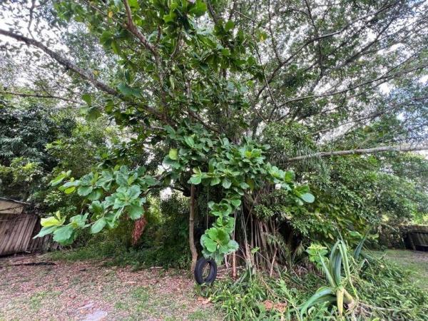 Poinsettia Heights, 1732 NE 15th Ave, Fort Lauderdale, Florida 33305, image 2