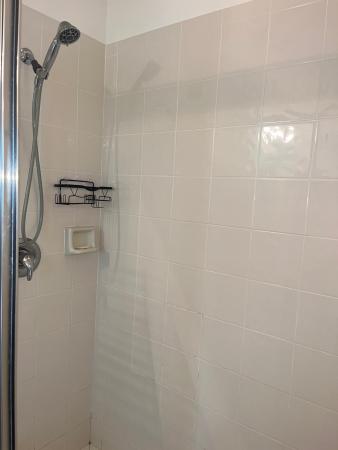 CitySide, 767 Millbrae Ct #2, West Palm Beach, Florida 33401, image 2