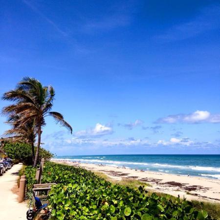 237 High Point Ct W #A, Delray Beach, Florida 33445, image 3