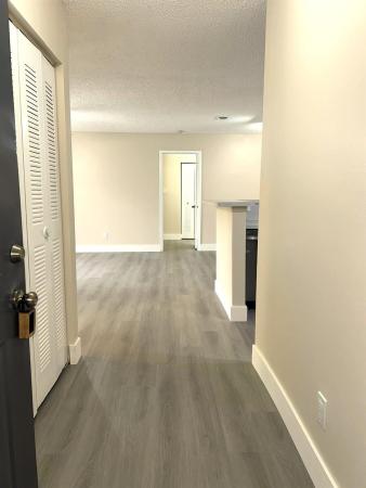 Atlantic Springs, 11241 W Atlantic Blvd #204, Coral Springs, Florida 33071, image 1