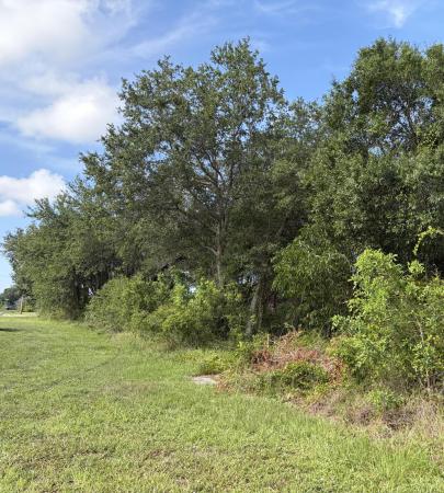 0 SW Darwin Boulevard, Port St. Lucie, FL 34953, Port St. Lucie, Florida 34953, image 1