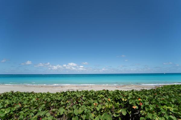 Ocean Trail, 200 Ocean Trail Way #1106, Jupiter, Florida 33477, image 1