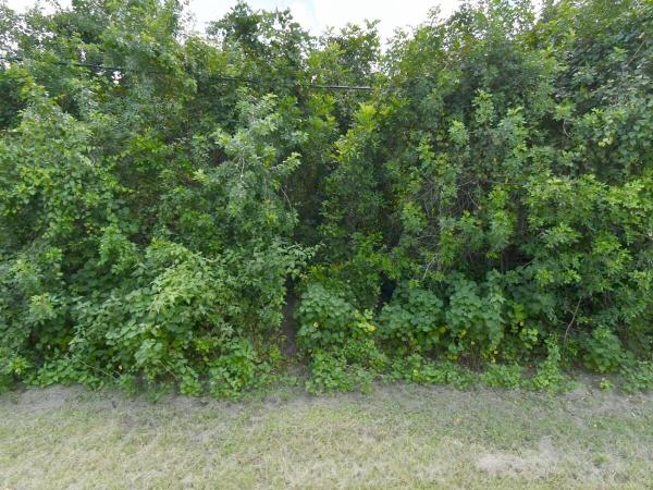 Gatlin Pines, 3025 SW Collings Dr, Port St. Lucie, Florida 34953, image 1