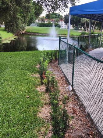 Hollybrook Golf & Tennis Club, 811 S Hollybrook Dr #206, Pembroke Pines, Florida 33025, image 2