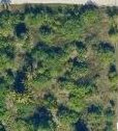 The Acreage Residential, 13074 71st Pl PLACE, The Acreage, Florida 33412, image 3