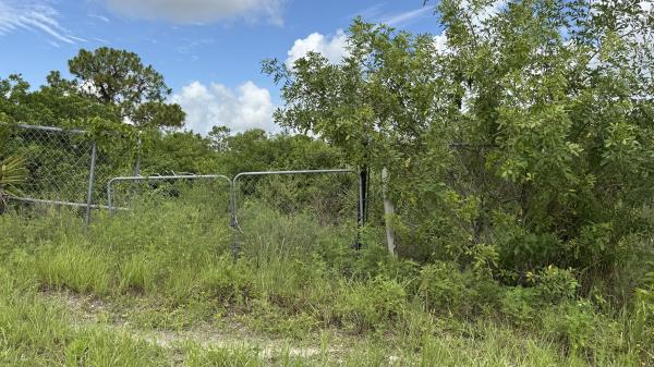 The Acreage Residential, 13074 71st Pl PLACE, The Acreage, Florida 33412, image 2
