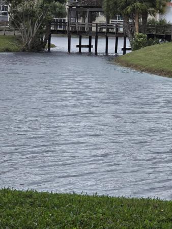 Sunrise Lakes 1, 2800 W Sunrise Lakes Dr #312, Sunrise, Florida 33322, image 3