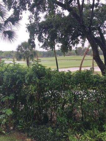 Whitehall Village, 2811 Village Blvd #202, West Palm Beach, Florida 33409, image 1