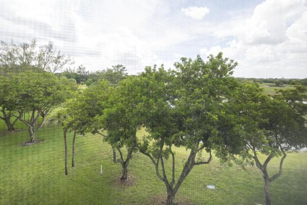 Palm-Aire Country Club 4, 3090 N Course Dr #508, Pompano Beach, Florida 33069, image 1