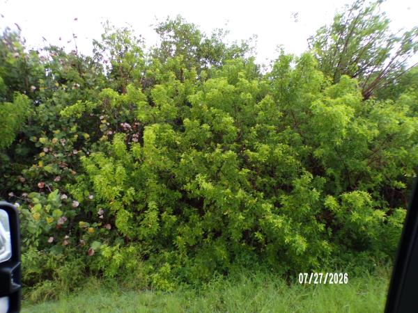 Indian River Estates, 5306 Silver Oak Dr, Fort Pierce, Florida 34982, image 1