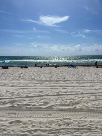 Galeria, 5415 Collins Ave #202A, Miami Beach, Florida 33140, image 3