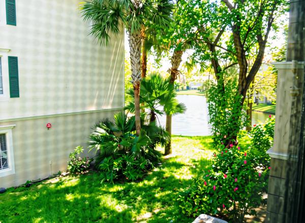 11685 W Atlantic Blvd #1923, Coral Springs, Florida 33071, image 2