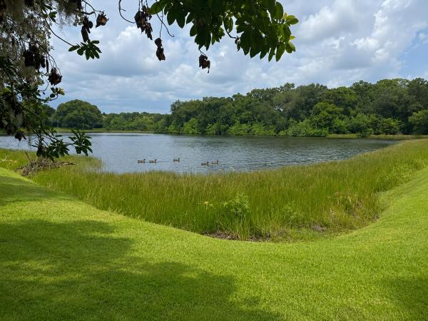 Winding Creek, 2108 Winding Creek Ln, Fort Pierce, Florida 34981, image 1