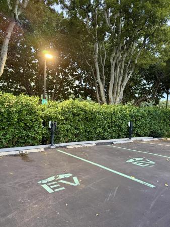 La Fontana, 2001 N Ocean Blvd #301, Boca Raton, Florida 33431, image 2