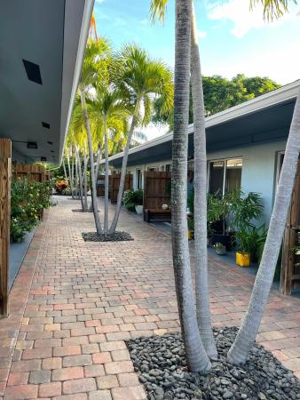 Poinsettia Landings, 1400 NE 18th St #4, Fort Lauderdale, Florida 33305, image 3