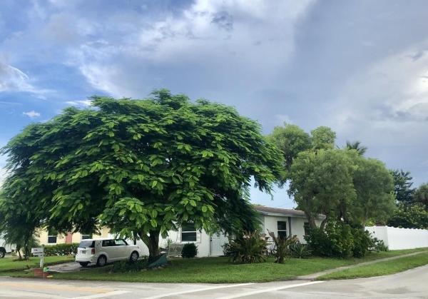 Pine Gardens North, 301 5th St, Jupiter, Florida 33458, image 1