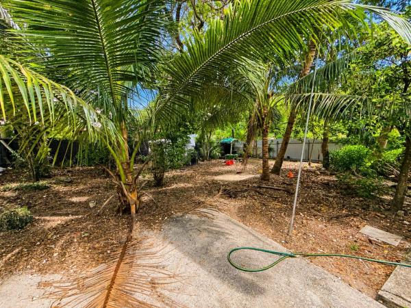 445 NE 163rd St, Unincorporated Dade County, Florida 33162, image 3