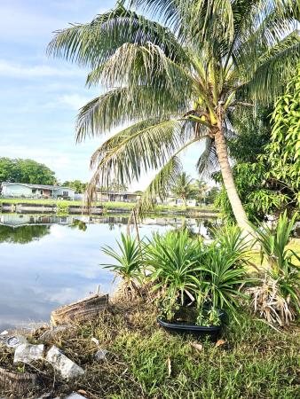 Kimberly Village, 6410 Kimberly Blvd, North Lauderdale, Florida 33068, image 1