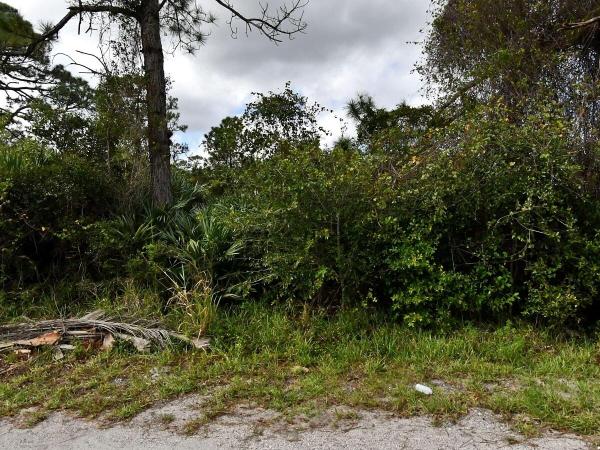 San Lucie Plaza, 0 Navajo Avenue, Fort Pierce, FL 34946, Fort Pierce, Florida 34946, image 2
