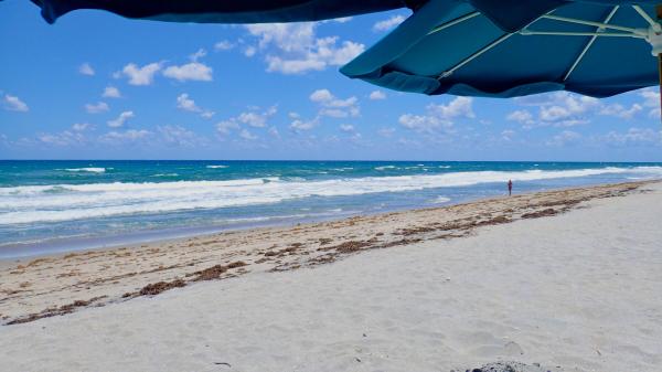 Sea Ranch Club Of Boca, 4101 N Ocean Blvd #1608, Boca Raton, Florida 33431, image 1