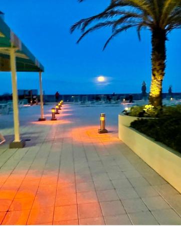 The Wave, 2501 S Ocean Dr #338, Hollywood, Florida 33019, image 3