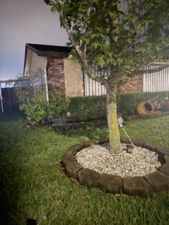 Welleby, 9500 NW 31st Pl, Sunrise, Florida 33351, image 3