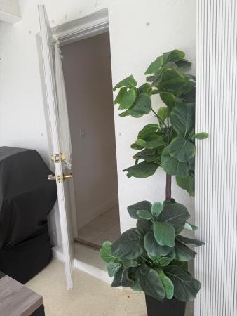 Cape Coral, 1824 SE 1st Ter, Cape Coral, Florida 33990, image 3