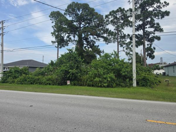 Rosser Reserve, 3351 SW Rosser Blvd, Port St. Lucie, Florida 34953, image 2