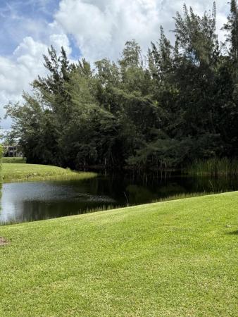 Golden Lakes Village, 133 Lake Olive Dr, West Palm Beach, Florida 33411, image 3