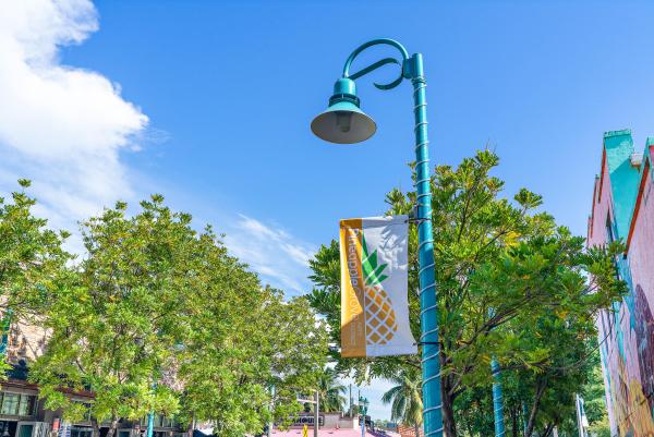 Delray Beach No HOA, 914 NE 2nd Ave, Delray Beach, Florida 33444, image 3