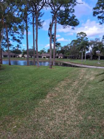 The Rainbows, 4703 Rainbow Dr, Greenacres, Florida 33463, image 3
