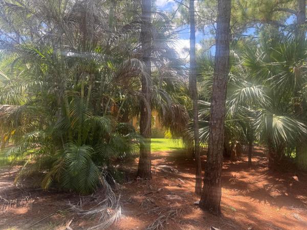 8235 Mulligan Cir #3512, Port St. Lucie, Florida 34986, image 2