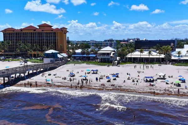 The Cove, 1261 SE 4th Ct, Deerfield Beach, Florida 33441, image 3