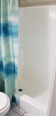 Lauderdale Park, 1000 NE 17th Ct, Fort Lauderdale, Florida 33305, image 2
