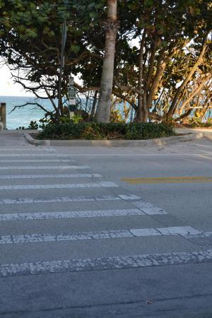 Sea Brook Place, 176 Seabreeze Cir, Jupiter, Florida 33477, image 1