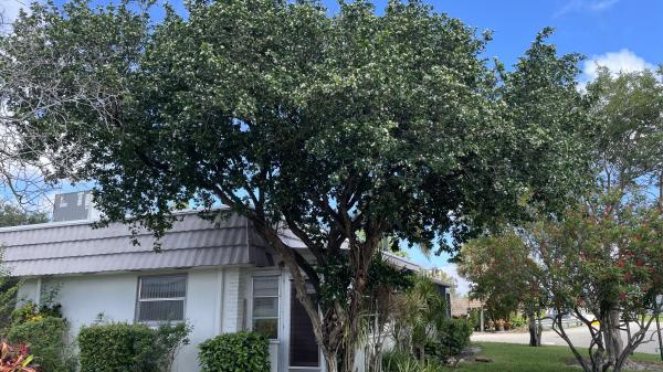 Valencia At Kings Point, 166 Valencia G, Delray Beach, Florida 33446, image 1