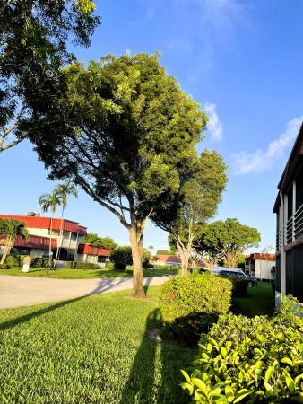 12011 Poinciana Blvd #202, Royal Palm Beach, Florida 33411, image 3