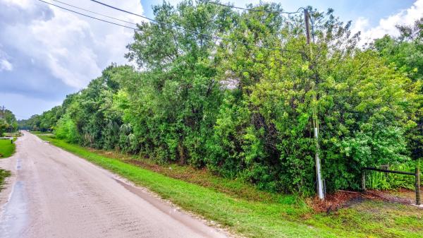 Jupiter Farms, 15308 95th Ave N, Jupiter, Florida 33478, image 3