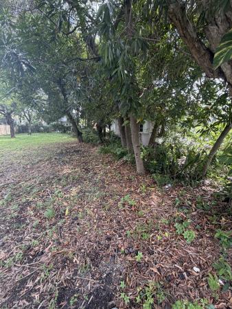 College, 708 SW 7th Ter, Dania Beach, Florida 33004, image 3