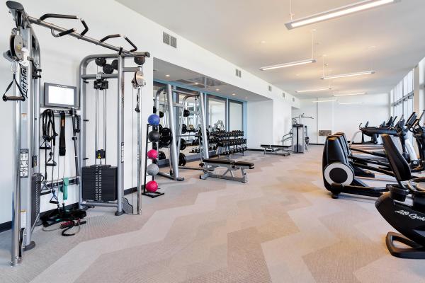 Eve At The District, 3635 NE 1st Ave #1005, Miami, Florida 33137, image 2