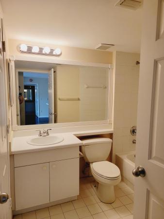 Royal Grand, 2640 S University Dr #222, Davie, Florida 33328, image 2