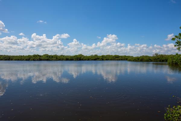 Seabreeze At Atlantic View, 5049 N Highway A1a #1802, Fort Pierce, Florida 34949, image 3