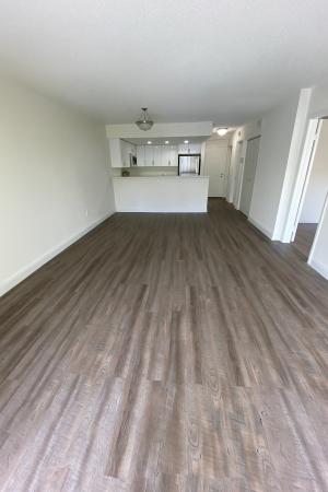 Country Club Towers, 18335 NW 68th Ave #750-205, Hialeah, Florida 33015, image 1
