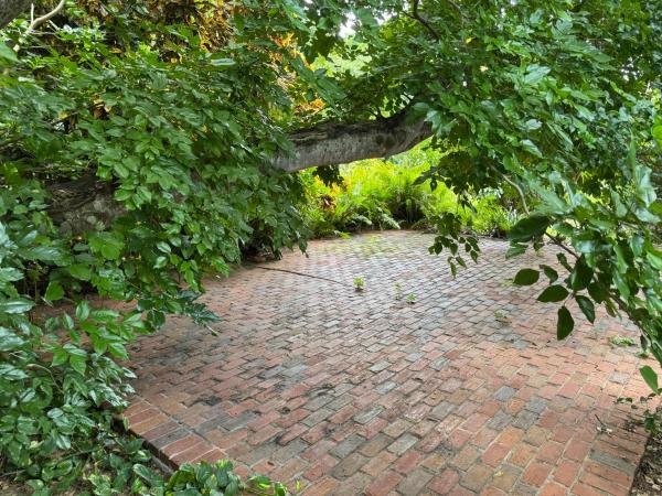 Cimarron At Loggers Run, 11287 Woodchuck Ln, Boca Raton, Florida 33428, image 1