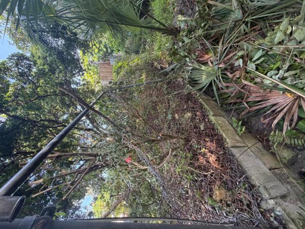 Jupiter River Estates, 303 S Delaware Blvd, Jupiter, Florida 33458, image 1